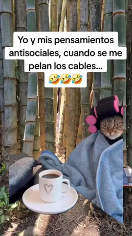 #Meme #MemeCut #CapCut #humorespañol #sisoy😎👌 