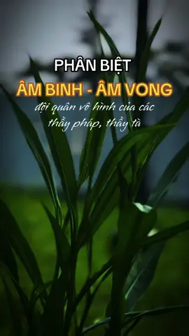 ☘️🪷Phân biệt âm vong và âm binh  #ngộ_để_an #phatphapnhiemmau #trending #cliptrieuview #xuhuongtiktok 