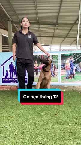 #CapCut Huấn luyện chó Nghiệp Vụ #huấnluyệnchó #dogsoftiktok #doglover #dogtrainer 