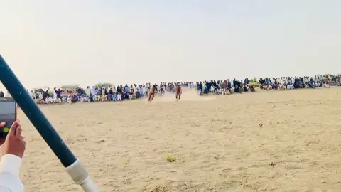کنگ أف لمبی کھیڈ کاشف خان ٹانوری #foryourpage #viralvideos #tranding #tiktokviral #سنگت_ویڈیو_وائرل_کریسو_آپ_ہیں🥀🌼🙈✨🎇 