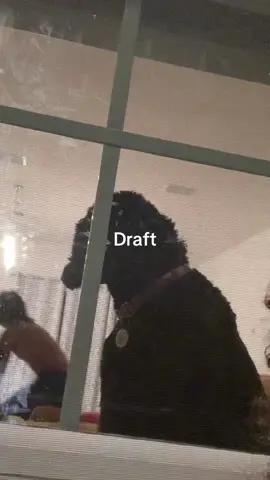 #draft  @johnny kocks 