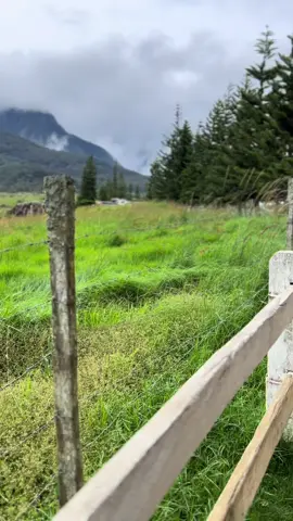 Kk kundasang View n sejuk dia best xdpt dkt mana”. Desa dairy Farm.