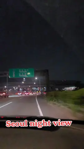 Seoul night view
