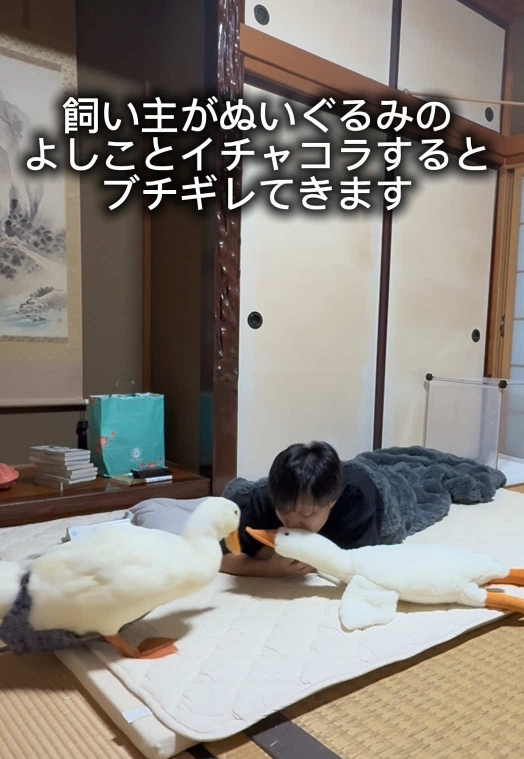 アヒルとの夜時間 アヒルは可愛い、世界を救う #アヒル #あひる #duck #動物  #ペット  動画見ていただきありがとうございます！✨ YouTubeもやってます！ 「アヒル無しでは生きていけない身体になってしまった」と言うチャンネル名です！ YouTube登録者1,300人突破しましたー！ ほんまにありがとうございます😭 飼い主はアヒルの可愛さで 世界を平和にしようと たくらんでおります。笑 2024.6.29(土)から同棲開始👍 2024.6.12(水)生まれの白アヒルの男の子 名前は「アヒル」です！