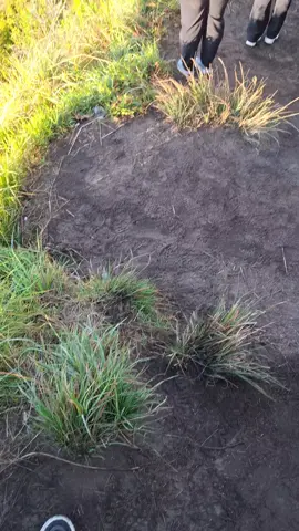 #trending #fyppppppppppppppppppppppp #bromo #bromotenggersemeru #page 