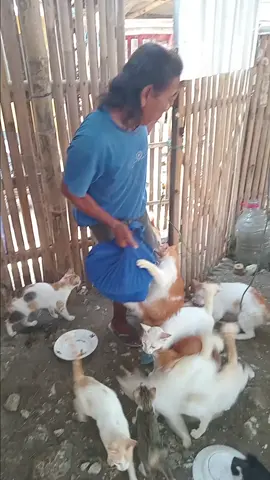 sangat menyenangkan kalo sudah bertemu anak2 bulu seperti ini