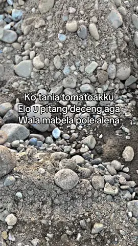 #katakatabugiss#bugispride🏝️🔥 #masukberanda #pouyoupage 