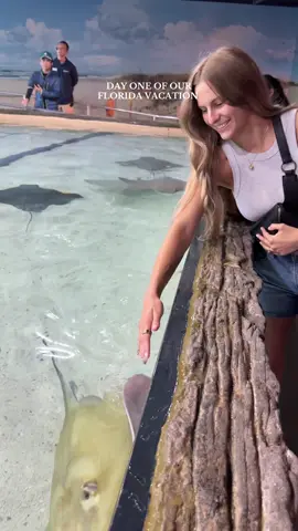 hoping for a little more sunshine tomorrow 🤞🏼#florida #aquarium #gokartracing #thingstodointampa 