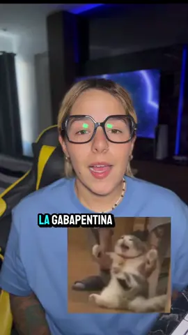 Uso de gabapentina en gatos  #mascotas #fyp #medicinafelina #gabapentina 