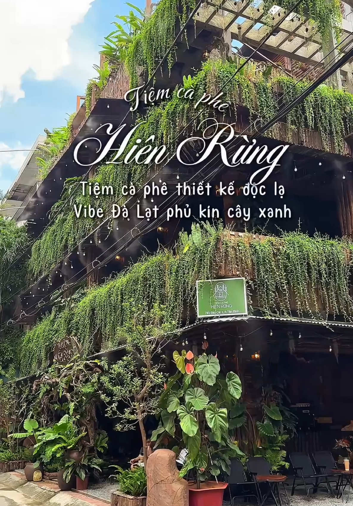 Tiệm cà phê mới toanh với thiết kế độc lạ vibe Đà Lạt phủ kín cây xanh #cafe #coffee #langthangcafe #tiemcaphehienrung #cafetanbinh 