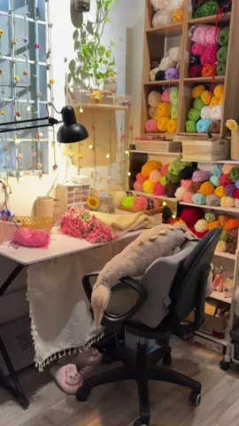 #chill #moclen #thugian # góc bình yên để trở về sau 1 ngày xô bồ ngoài kia ❤️