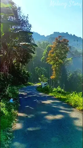 #kotamalang #kabupatenmalang #sudutkotamalang #suasanamalang #wisatamalang 