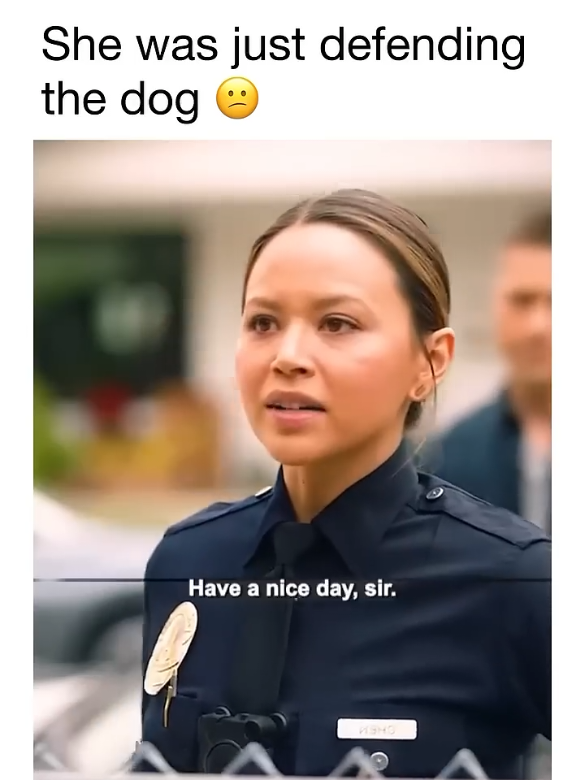This show is too good ngl tv show: the rookie: The series follows John Nolan, a 40-year-old man who moves from his comfortable small-town life to Los Angeles to pursue his dream of being a police officer for the Los Angeles Police Department. He must navigate the dangerous, humorous, unpredictable world of a 
