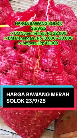 HARGA BAWANG MERAH SOLOK 23/9/25 Terminal Bareh Solok #