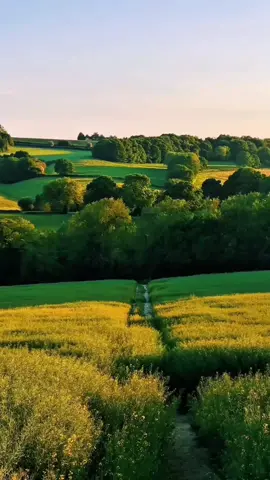 Amarte Hasta Que Me Olvide.   #amarte #hasta #que #me #olvide 