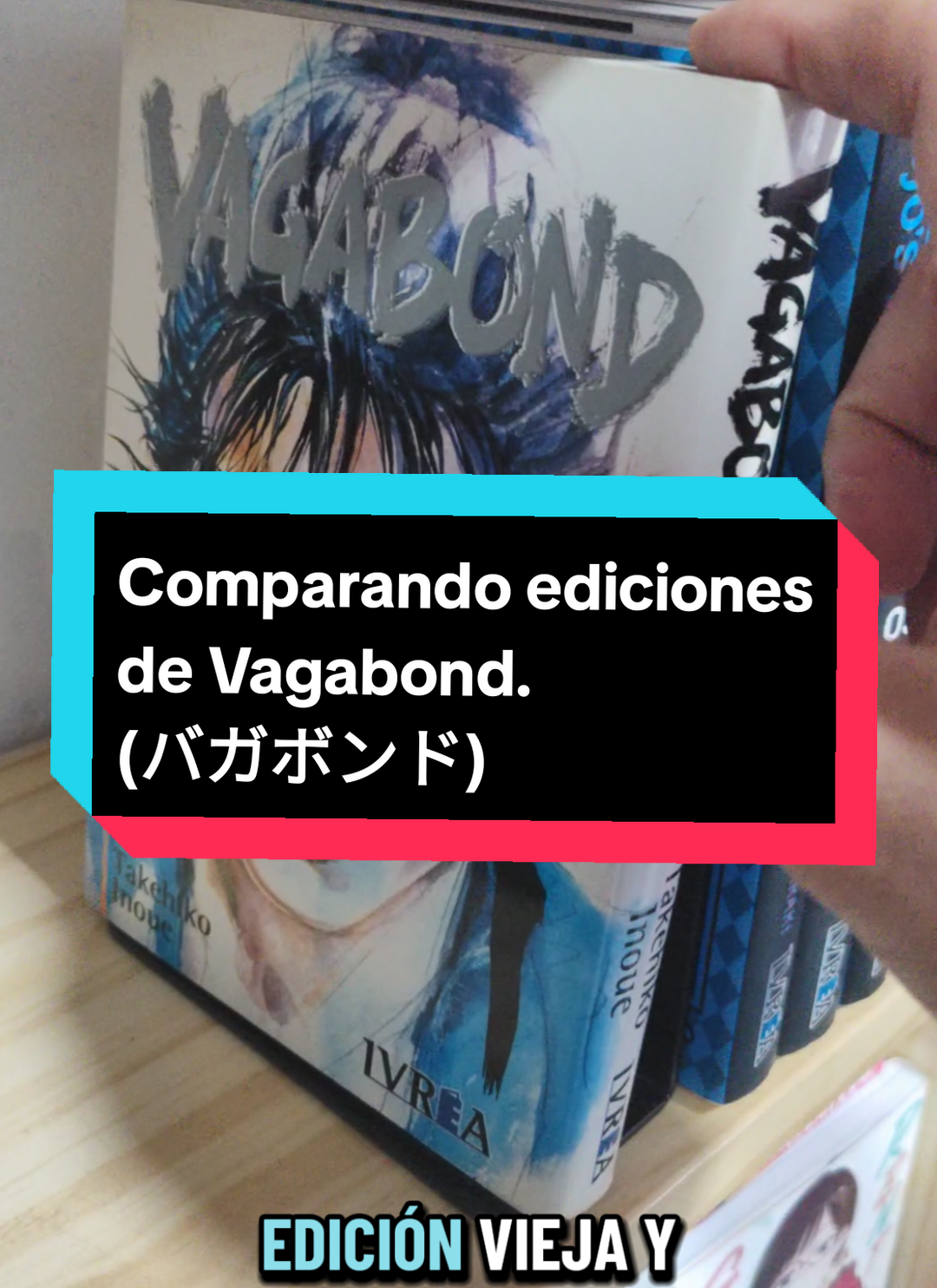 Vaganchero. #gogogoposadas  #misionesargentina  #gogogolocal  #posadasmisiones  #vagabondmanga 