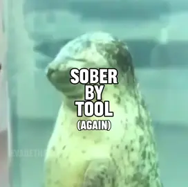starting where we left off with the sober by tool seal music video i did earlier! i cut the first one off jus to give this part its own moment :)  ( @dee @Sebastian 𖣂 ) #seal #sealtok #sober #tool #toolband 