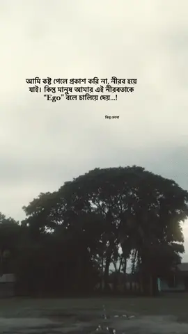 আইডি ডাউন হয়ে গেছে, কিছু কপিলিংকবকরে দিয়েন !🫠💗#fyp #foryou #foryoupage #highlight @TikTok Bangladesh 
