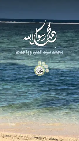 #CapCut #lovequran🕌🕋 #fypシ゚viral🖤tiktok #goviraltiktok #❤️❤️❤️❤️❤️❤️ 