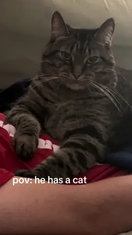 immmm just going to see myself out…watch out for those girl cats  #cat #cats #catsoftiktok #boyfriend #kitty 