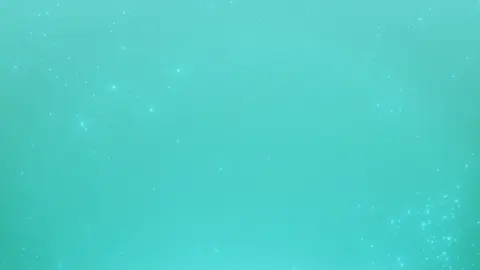 ขยะที่เราทิ้งไป ไม่ใช่แค่ขยะ แต่เป็น 'ทรัพยากร' ที่รอการนำกลับมาใช้ใหม่ 🗑♻️ #ดีแลนด์เดโชชัย #คนปรับโลกเปลี่ยน #เพื่ออนาคตที่ยั่งยืน #SaveWorldSaveLife #7สีปันรักให้โลก #TSMManagement #Ch7HD #ช่อง7HD