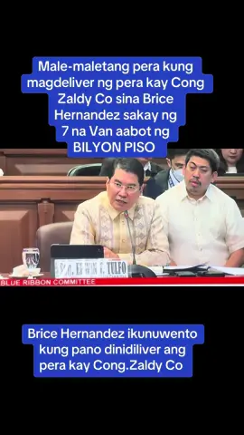 BILYONG PISO KUNG MAGDELIVER ANG GRUPO NILA BRICE HERNADEZ KAY CONG.ZALDY CO AT DINADALA SA PENTHOUSE NG SHANGRILA #foryou #trending #tiktokph #floodcontrol #foryou 