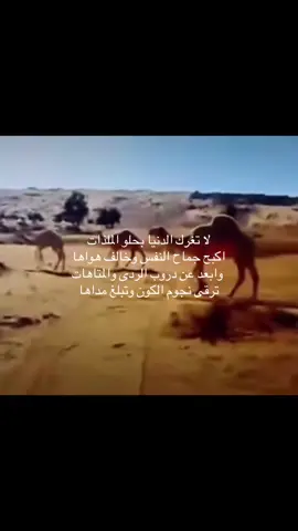 #fyppppppppppppppppppppppp 