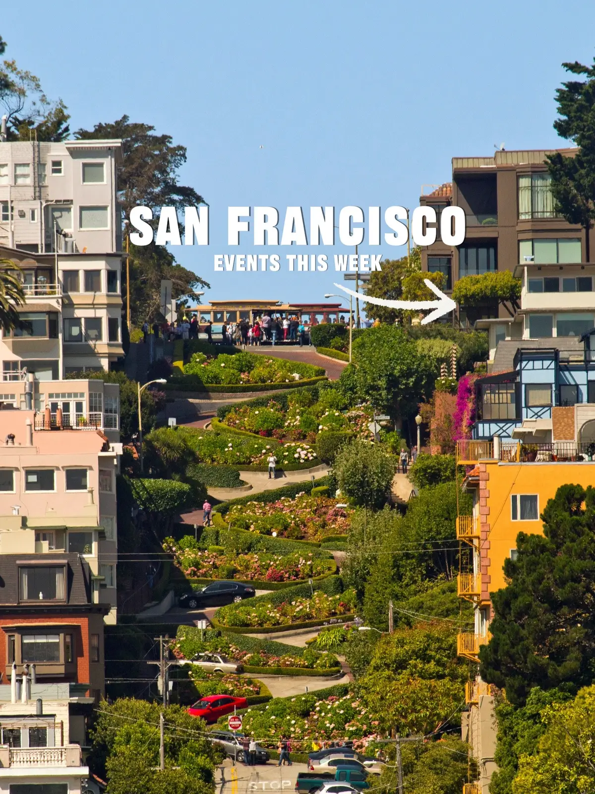 Here is my weekly SF Events list for 9/22-9/28 !  I post my SF Events list every Monday on my socials and website 😊  www.andrewtourssf.com/sfevents #sfevents #funthingstodoinsf  #sfinfluencer #sfblogger 