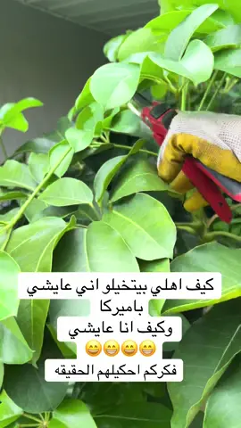 #عرب #اكسبلور #غربة #خواطر 