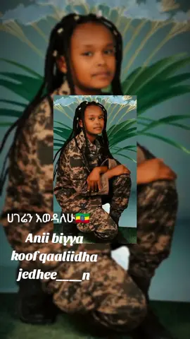 #ethiopia🇪🇹🇪🇹🇪🇹🇪🇹  #foryoupage #videoviral  #comando 