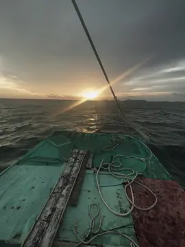 “花兒只有綻放時才美麗，愛情只有開始時才美麗” “ hoa chỉ đẹp khi hoa vừa nở, tình chỉ đẹp khi tình vừa bắt đầu”