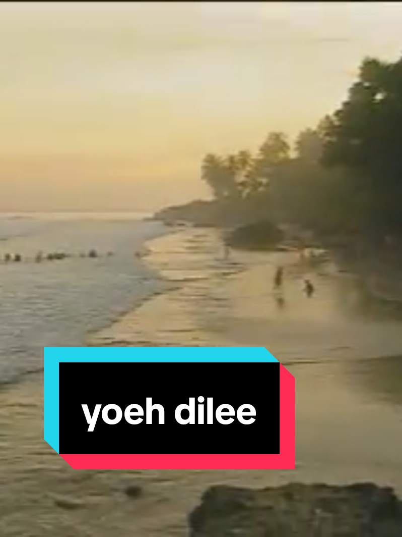 #nanggroeiskandarmuda  by #syehyouldyprima  #nurhadizah  #laguacehdroe  #flypシ 