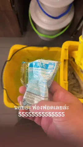 อวสานตำแหน่ง support บันเทิงแต่เช้า 🤣 #วันๆพันกว่าเรื่อง #starbucksthailand #สตาร์บัคส์หาดใหญ่ #พาร์ทเนอร์สตาร์บัคส์