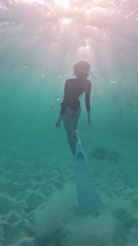 Đi lặn biển❌  Ði mò ốc✅ #freediving 