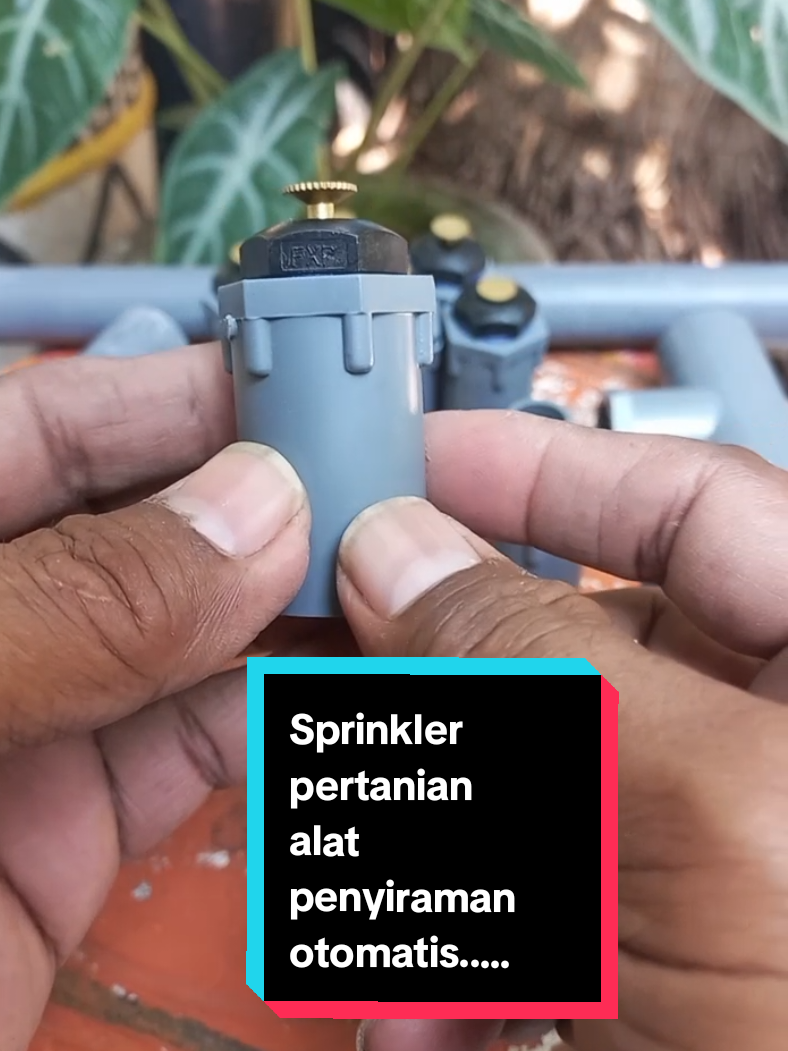 Sprinkler pertanian alat penyiraman tanaman otomatis baik tanaman di rumah di kebun maupun di ladang ukuran pipa 1/2 DIM dengan kepala kuningan. #alatpenyiramtanaman #sprinkler 