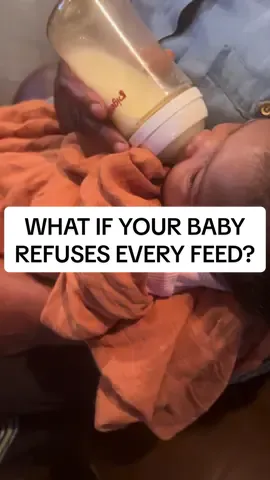 Nothing is scarier than a hungry baby who won’t take a feed. Sleepless nights, no breaks, and the constant fear of losing your supply can leave you drained. But there is a way to protect your breastfeeding journey and finally breathe again. Watch now to learn how. #babywonttakebottle #howtogetbabytotakeabottle #breastfeedingjourney #baby #MomsofTikTok 