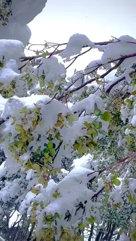 @🚷🤜Karachi 🥀  King🚷👈 @22گریڈغمگین M.to.N مسافر 