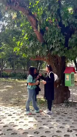 The Head Drop prank