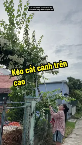 ✂️ Kéo cắt cành trên cao – Cắt tỉa dễ dàng, an toàn hơn 🌳 Thiết kế tay cầm dài, dễ dàng cắt tỉa cành ở vị trí cao. 🔪 Lưỡi kéo sắc bén, đi kèm lưỡi cưa phụ trợ, xử lý cả cành to. 💪 Chất liệu thép chắc chắn, bền bỉ theo thời gian. ⚡ Giúp công việc làm vườn nhanh chóng, an toàn mà không cần trèo cao. 👉 Dụng cụ không thể thiếu cho nhà vườn và gia đình có cây cảnh. Giá sản phẩm có thể thay đổi tùy thời điểm khuyến mãi trên TikTok Shop. #keocatcanh #dungcugiadinh #lambuon #thietbigiadinh #onggiareview 
