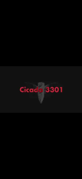 Cicada 3301 : one of the largest internet mysteries #cicada3301 #spooky #edit #fyp #viral 