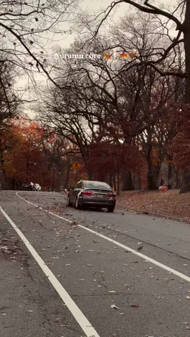 #autumnedit 🍁 # aesthetic # fallvibes # autumnleaves # foryou