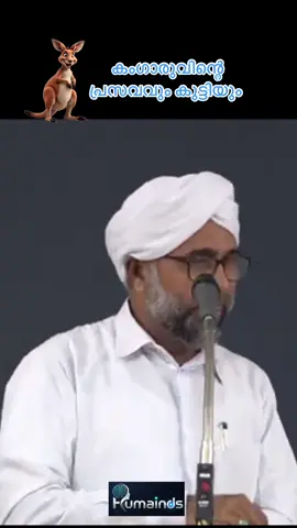 കംഗാരുവിന്റെ പ്രസവവും കുട്ടിയും  #കംഗാരു #കംഗാരുവിന്റെകുഞ്ഞ് #കംഗാരുപ്രസവം #കംഗാരുവിന്റെപ്രസവം #കംഗാരുകുഞ്ഞ് #ജോയി #Kangaroo #KangarooBaby #KangarooBirth #KangarooJoey #Wildlife #AnimalBirth #MotherhoodInNature #NatureLovers #AnimalPlanet #WildlifePhotography