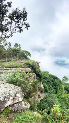 มอหินขาว หน้าฝน🍃⛰️💚#พักผ่อน #ป่า  #มอหินขาวชัยภูมิ #ชัยภูมิ 