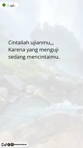 Cintailah ujianmu....  #nasihatislami  #motivation  #quotesislami  #muhasabah  #pyp 
