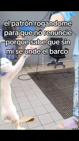 #Meme #MemeCut #CapCut 