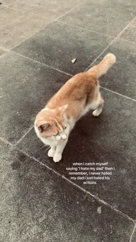 #family #ihatemydad #fyp 