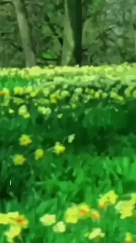 💔#bollwoodsong#quotes  #dhadkanmovie#reminders  #berandatiktokfy 