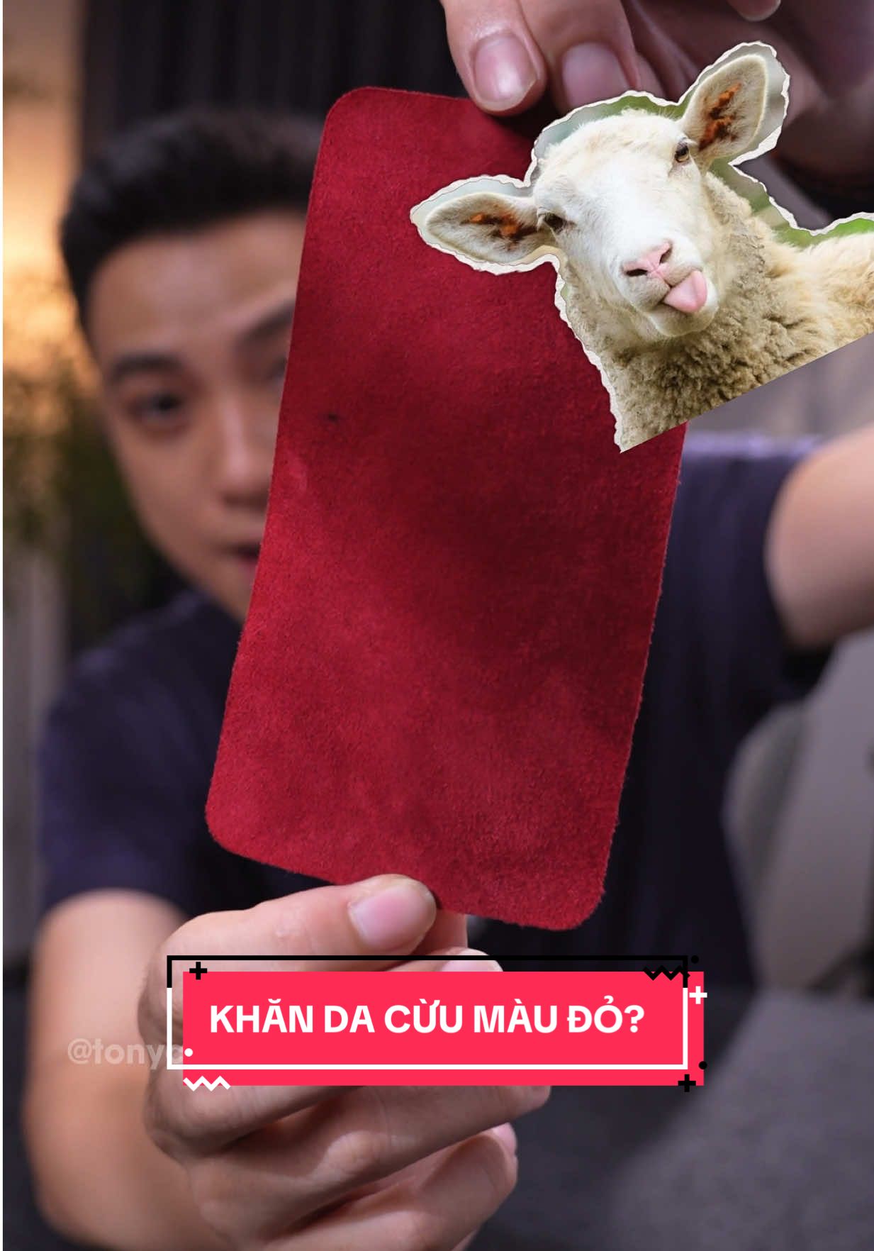 Khăn này màu đỏ vì nó được làm từ da của con cừu cũng có màu đỏ? #LearnOnTikTok #tonychung 