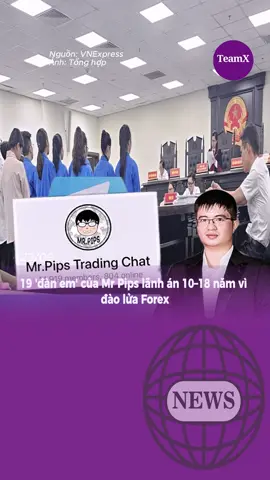 19 'đàn em' của Mr Pips lãnh án 10–18 năm vì đào lửa Forex#bejob #teamX #tintuc #fyp #viral 