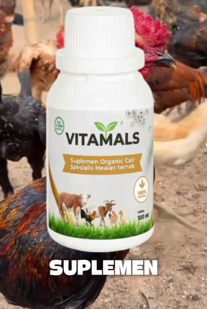 vitamin ayam kampung #vitaminayamkampung #boosterayam #ayamkampung #peternakayam #vitamals 